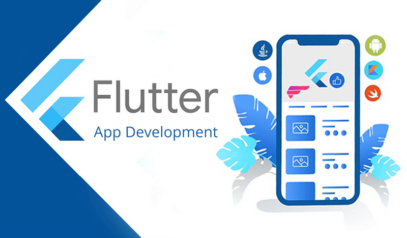 Flutter Developer